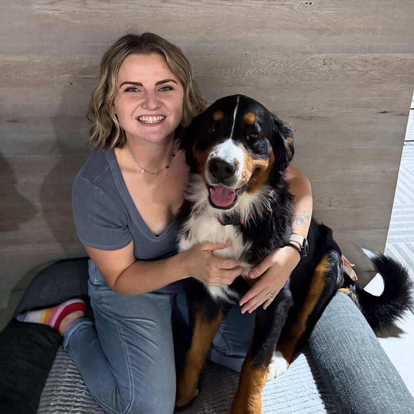 Bernese Mountain Dog Breeders Wisconsin