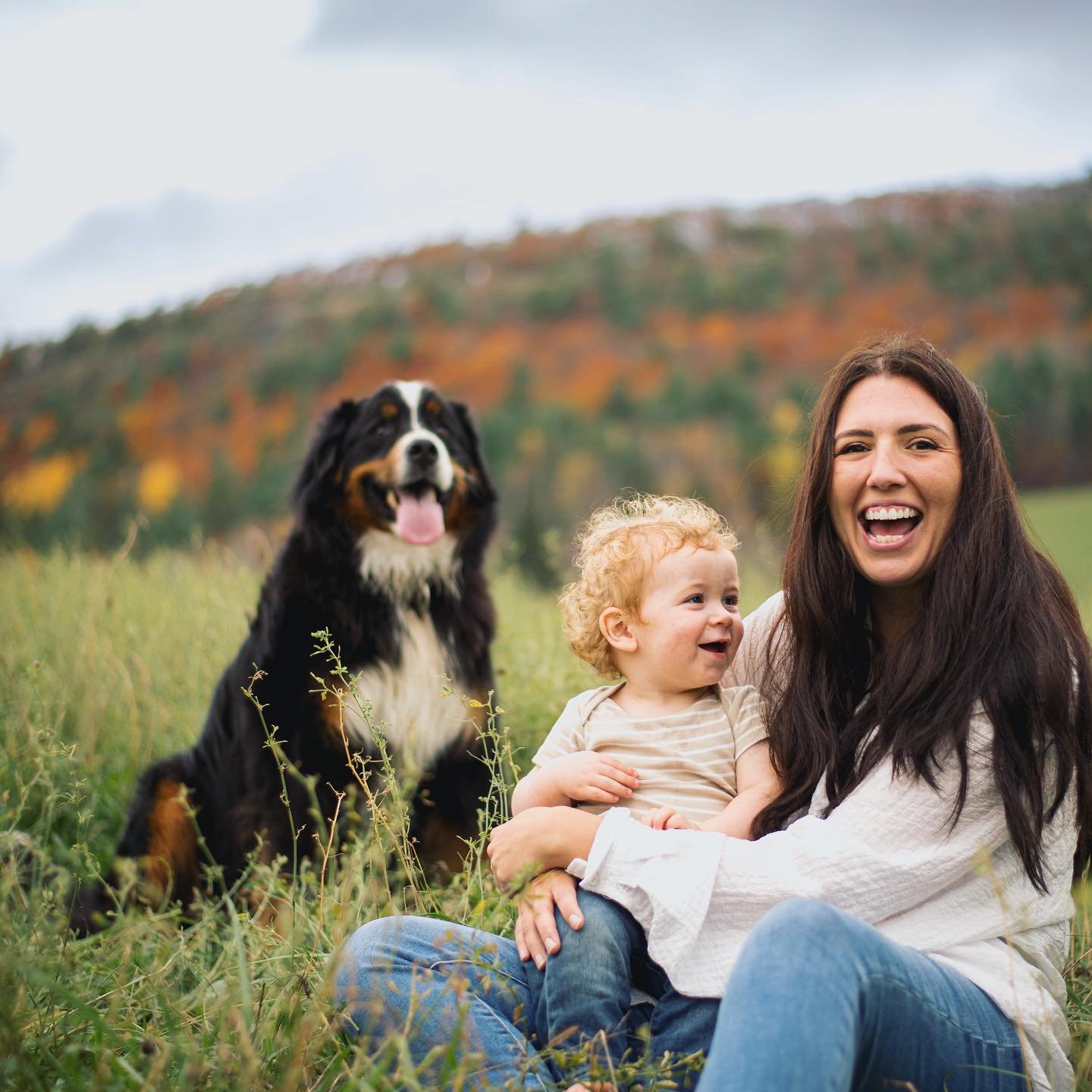 are bernese mountain dogs good with cats